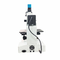 Mikroskop Gorąca Sprzedaż Źródło Światła Regulowane Dostosowane Lornetka Stereo